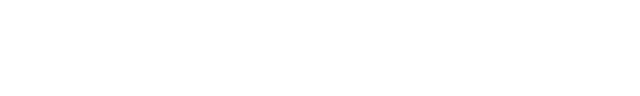遊び方