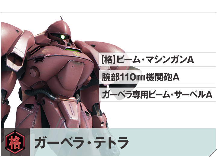 ガーベラ・テトラ